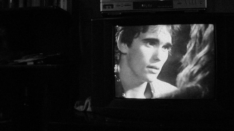 Locations: Looking for Rusty James still 2