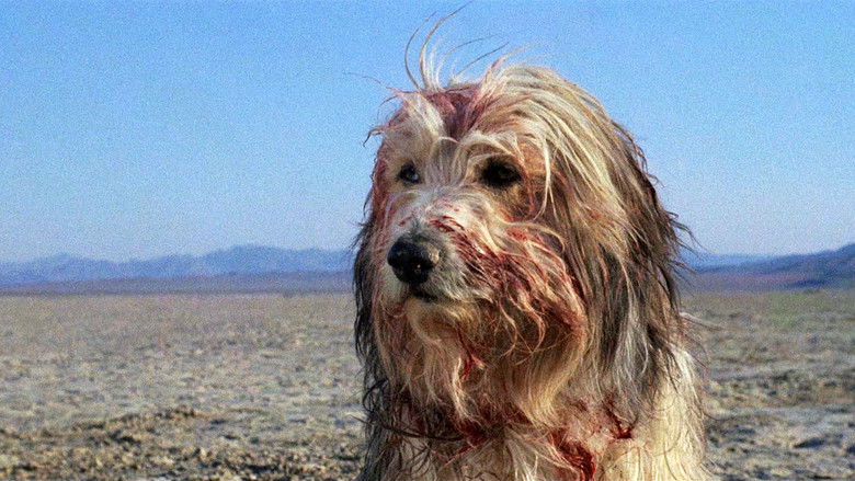 A Boy and His Dog still