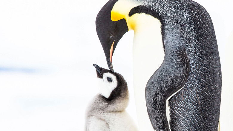 Penguins: Meet the Family still