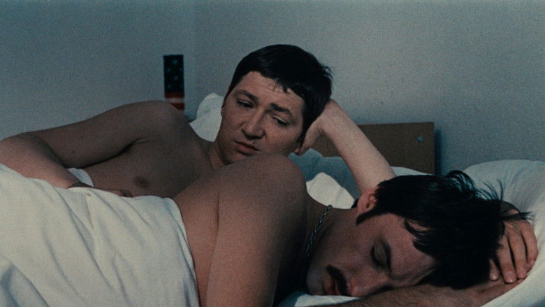 Fox and His Friends still