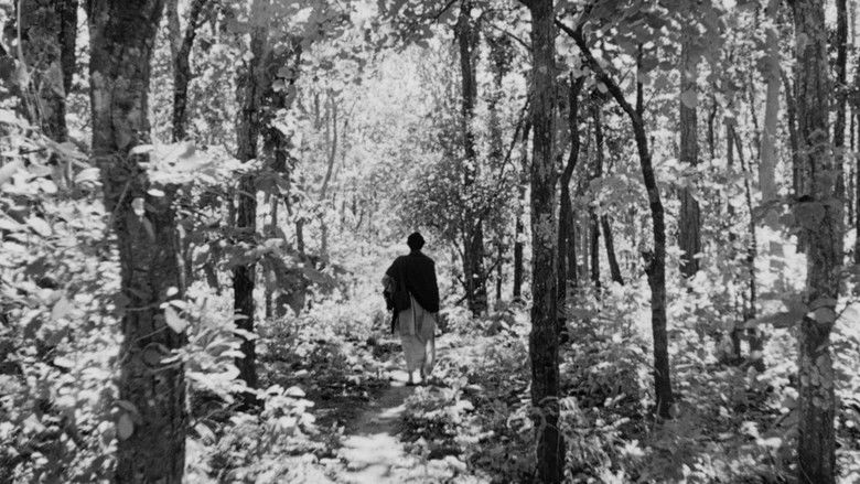 The World of Apu still