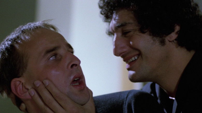 House on the Edge of the Park still