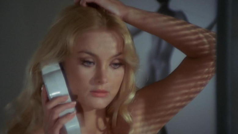 The Black Belly of the Tarantula still 4