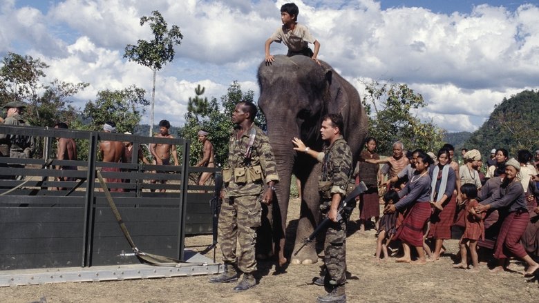 Operation Dumbo Drop still 1