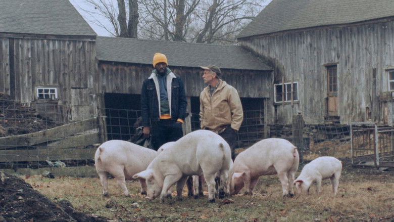 Down with the King still