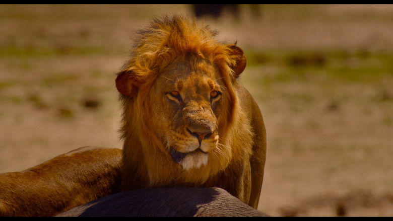 Enchanted Kingdom still