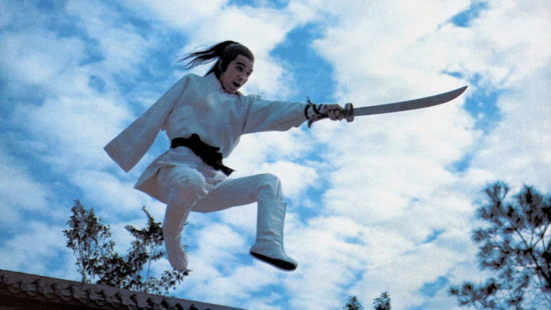 The New One-Armed Swordsman still