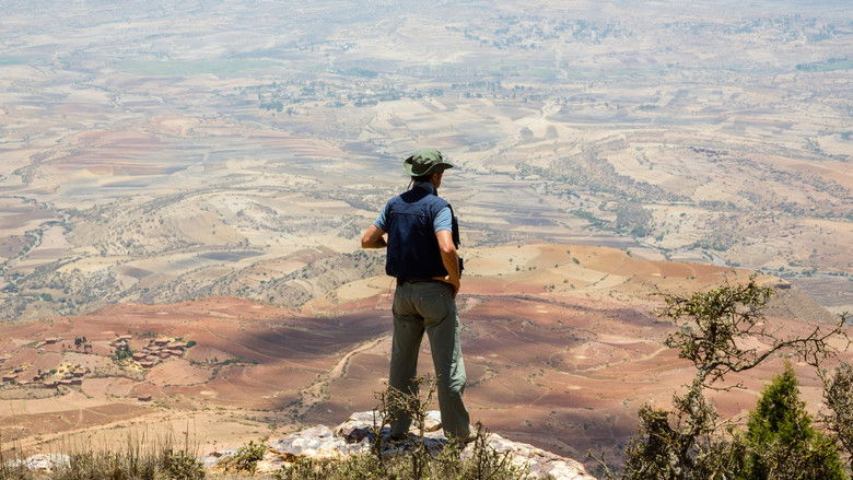 If Only I Were That Warrior still 1