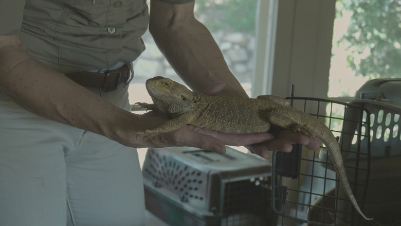 Cool Critter still 4