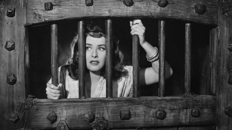 The Lady Has Plans still