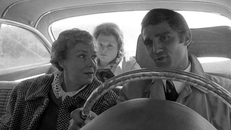 The Honeymoon Killers still 3