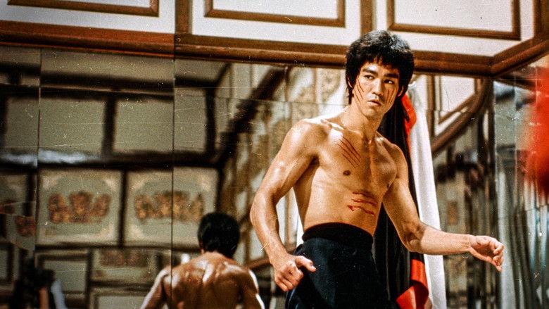 Bruce Lee: The Man and the Legend still