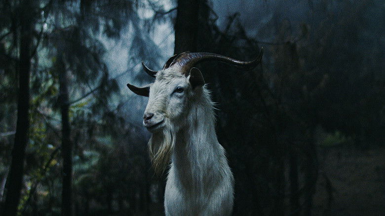 Luz: The Flower of Evil still