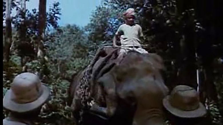 Black Mountain still 1