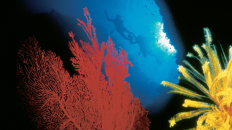 The Living Sea still 2