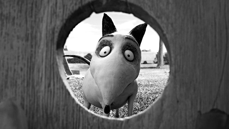 Frankenweenie still