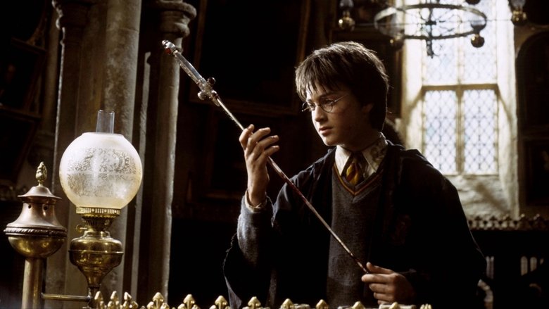 Harry Potter and the Chamber of Secrets still 4