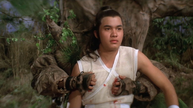 Five Element Ninjas still