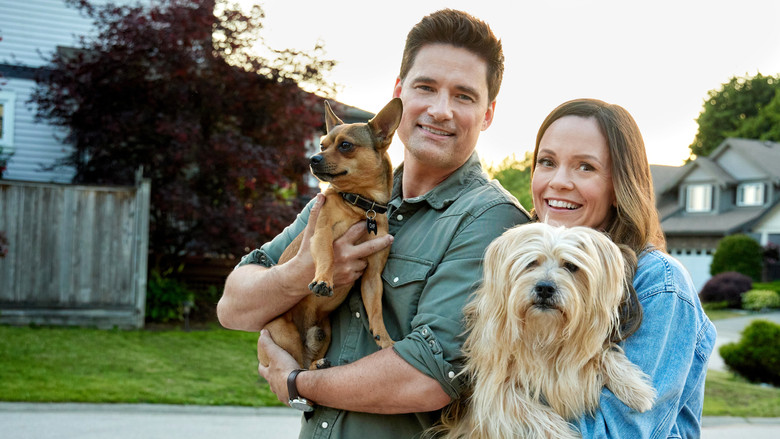 The More Love Grows still 3