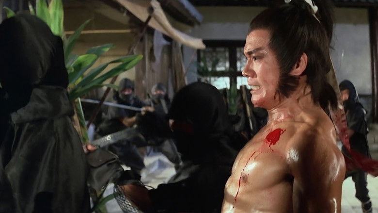 Five Element Ninjas still