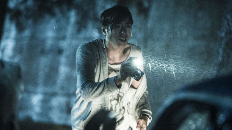 Who Killed Cock Robin still