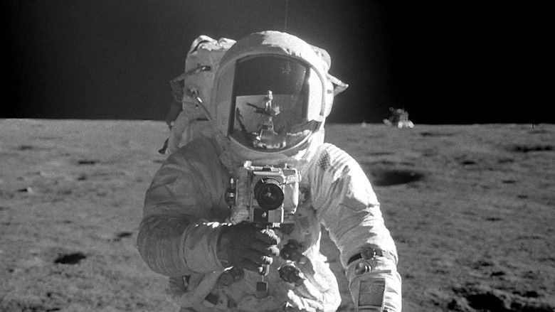 The Wonder of It All still 1