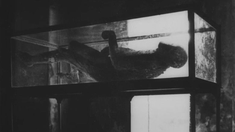 If I Had Four Dromedaries still 4