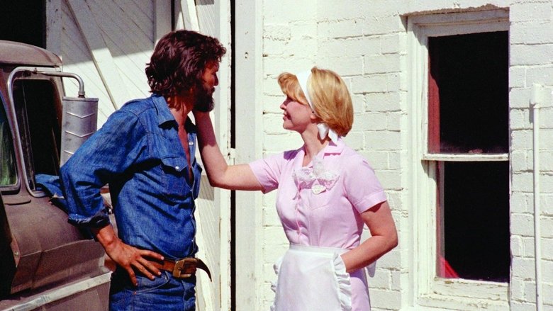 Alice Doesn't Live Here Anymore still 1