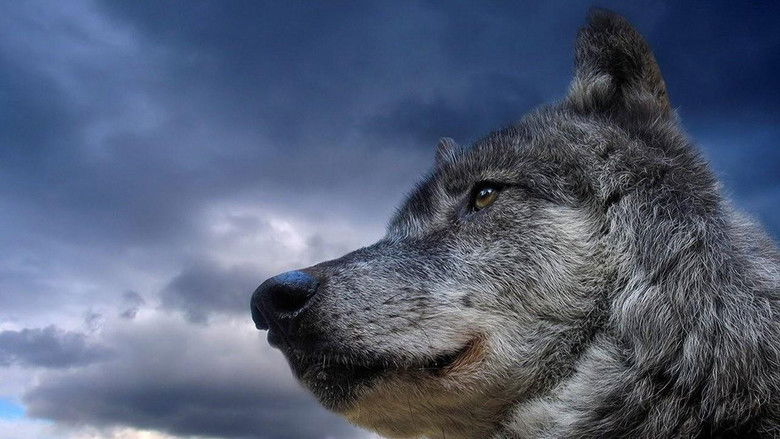 Never Cry Wolf still 3