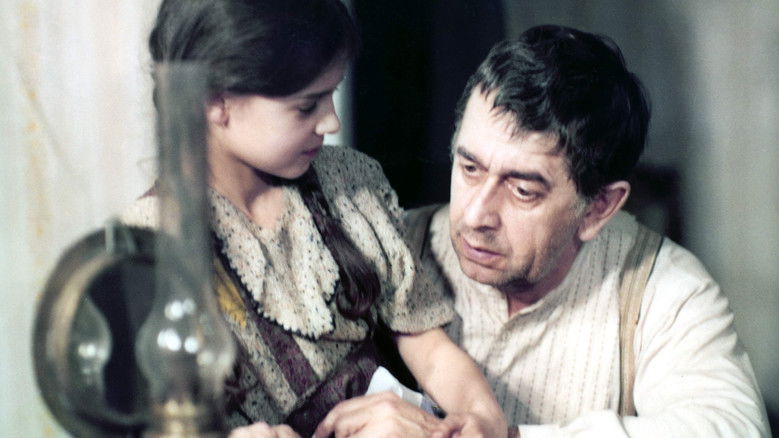 Jacob the Liar still