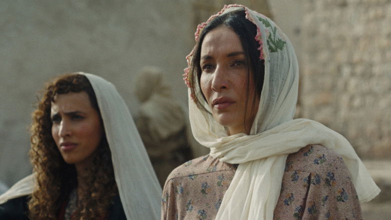 Palestine 36 still 4