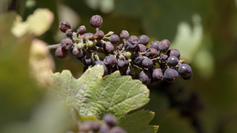 The Two Eighty Project still 3