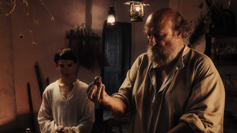 Fifth Butterfly still 1