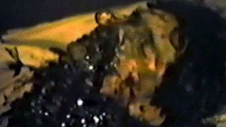 Within the Woods still