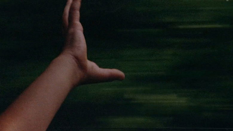 To Be and to Have still 4