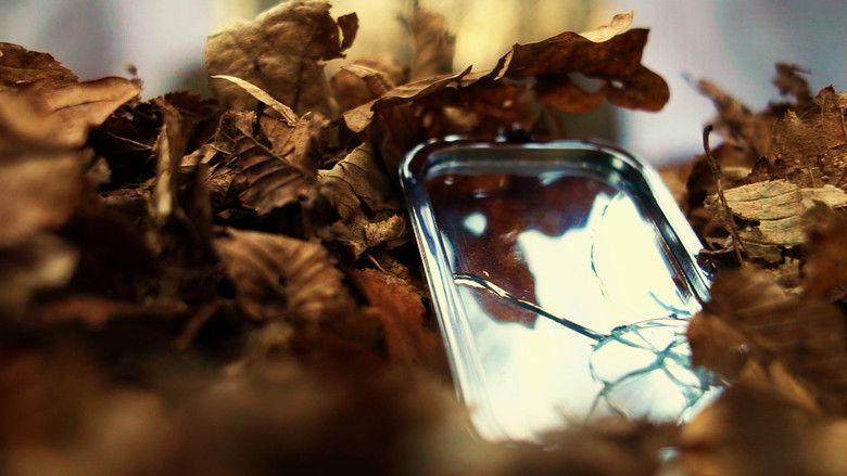 Where the Ravens Fly still 2