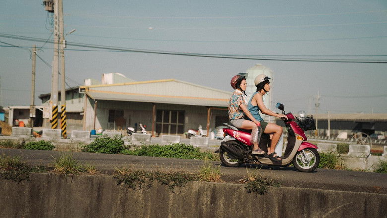 Family Matters still