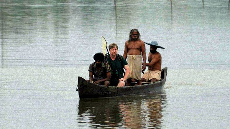 Papilio Buddha still 2