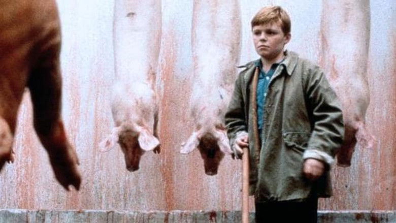 The Butcher Boy still
