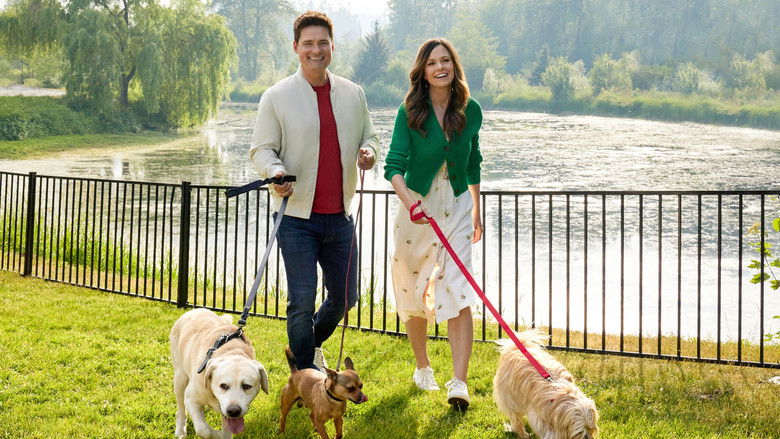 The More Love Grows still 2