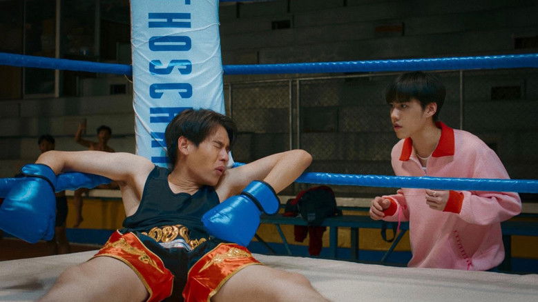 The Red Envelope still