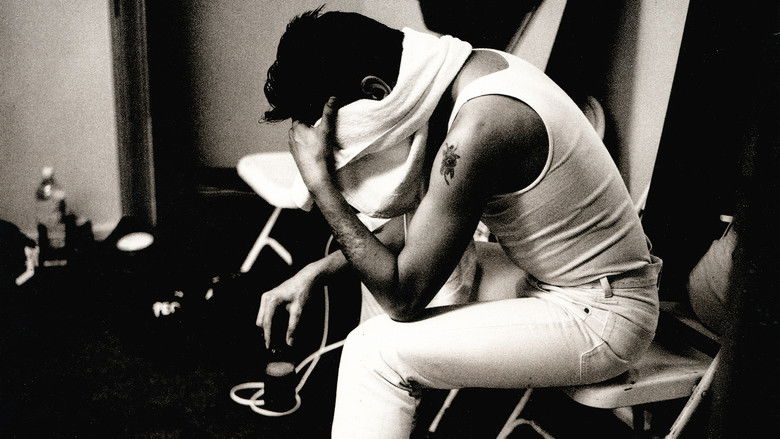 Depeche Mode 101 still 3