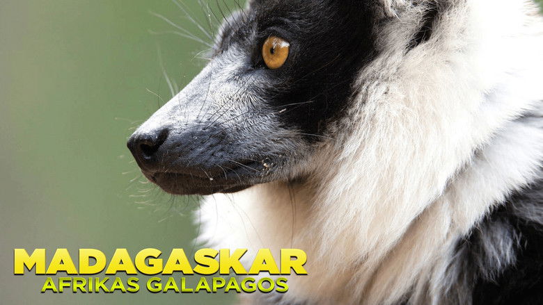 Madagascar: Africa's Galapagos still