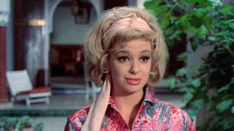 Our Man in Marrakesh still