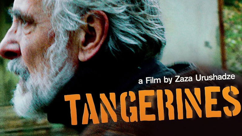 Tangerines still 3