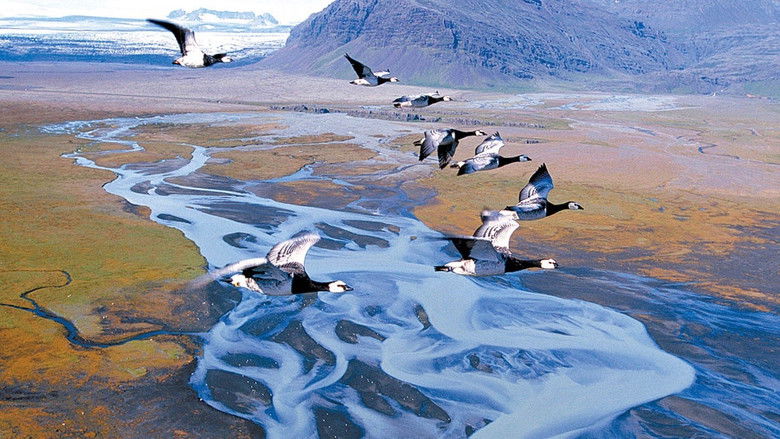 Winged Migration still 3