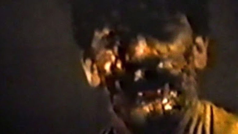 Within the Woods still