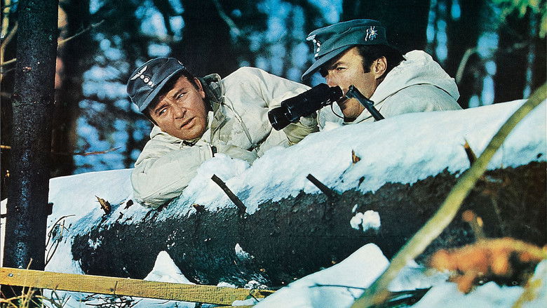 Where Eagles Dare still 2