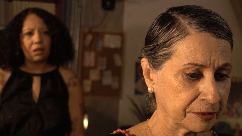 Meus Sentimentos still