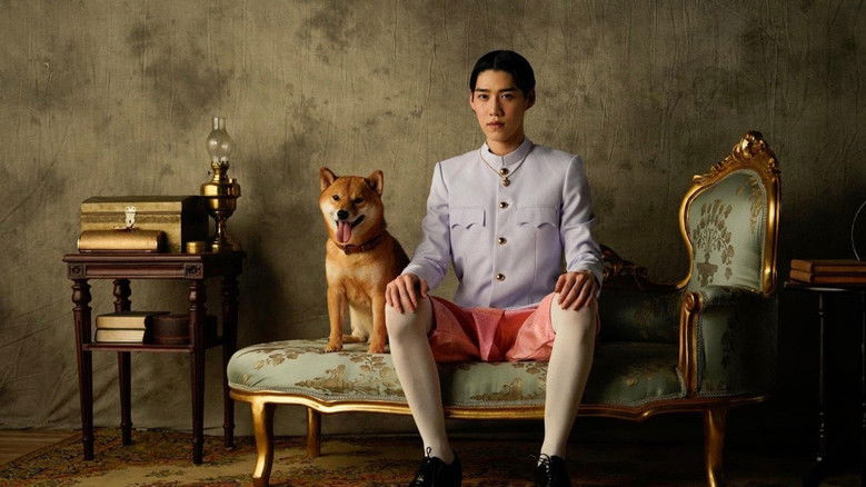 The Red Envelope still